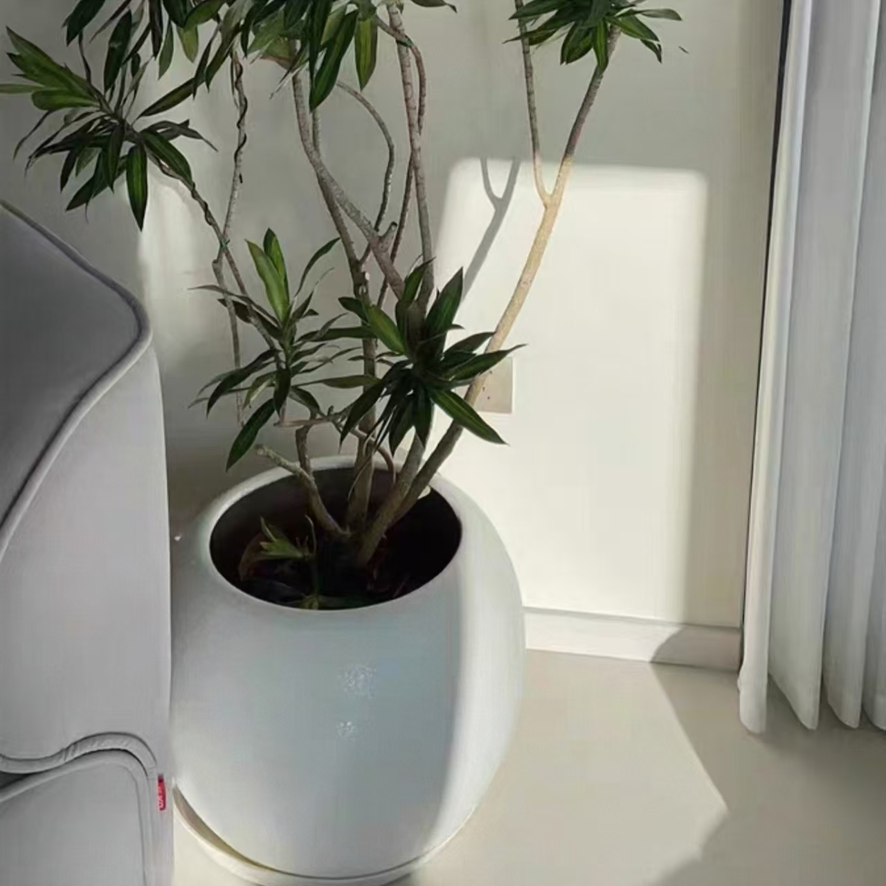 玻璃钢树盆/树箱